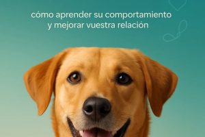 GUÍA ENTIENDE A TU PERRO (OPINIÓN 2026):